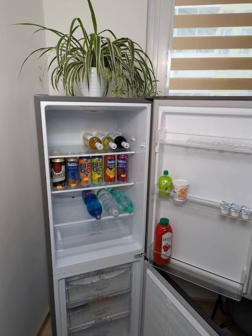 זנוימו Cool Apartment מראה חיצוני תמונה