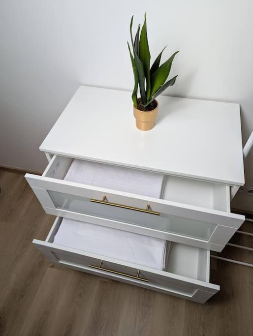 זנוימו Cool Apartment מראה חיצוני תמונה