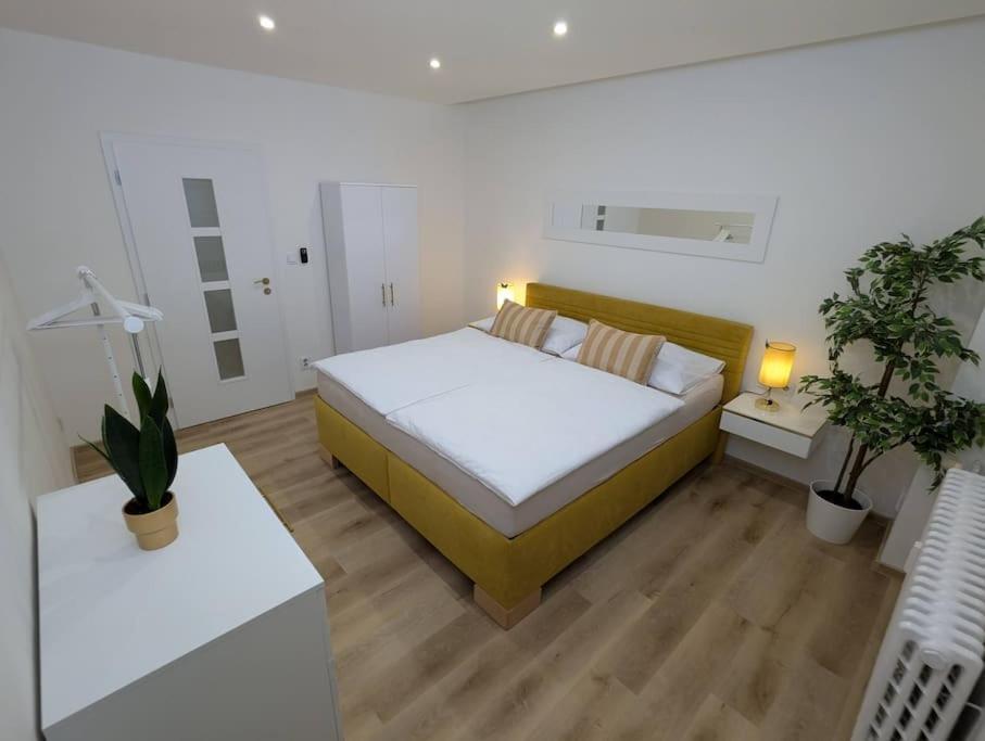 זנוימו Cool Apartment מראה חיצוני תמונה